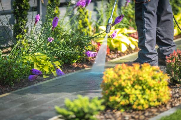 Best Animal Enclosure Cleaning  in Devens, MA
